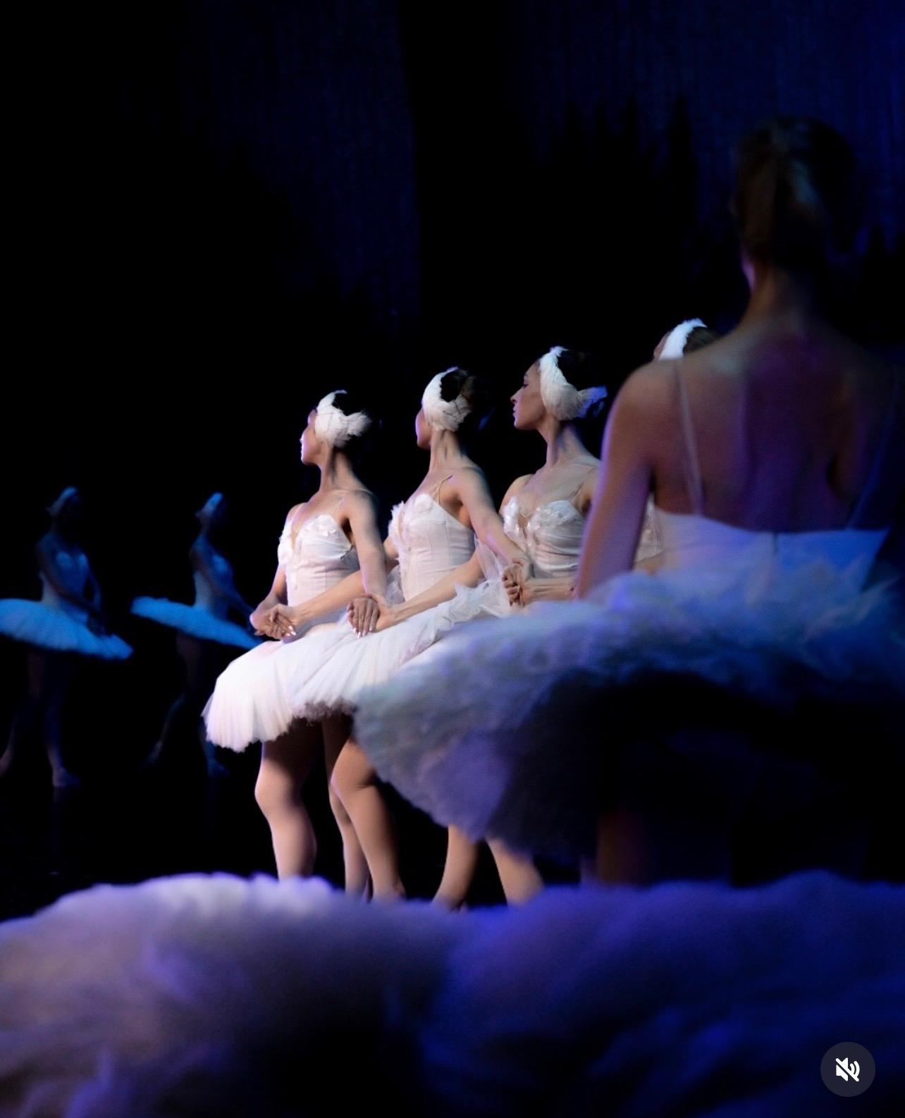 Swan Lake ballet - poster 3
